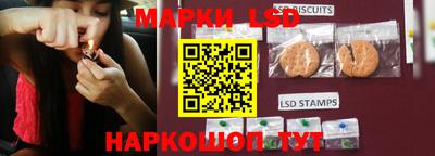 амф Шебекино
