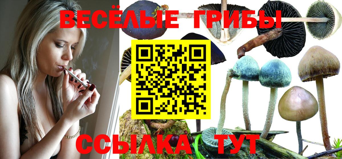 Галлюциногенные грибы мицелий  Галлюциногенные грибы Cubensis  Братск  Вход с VPN 