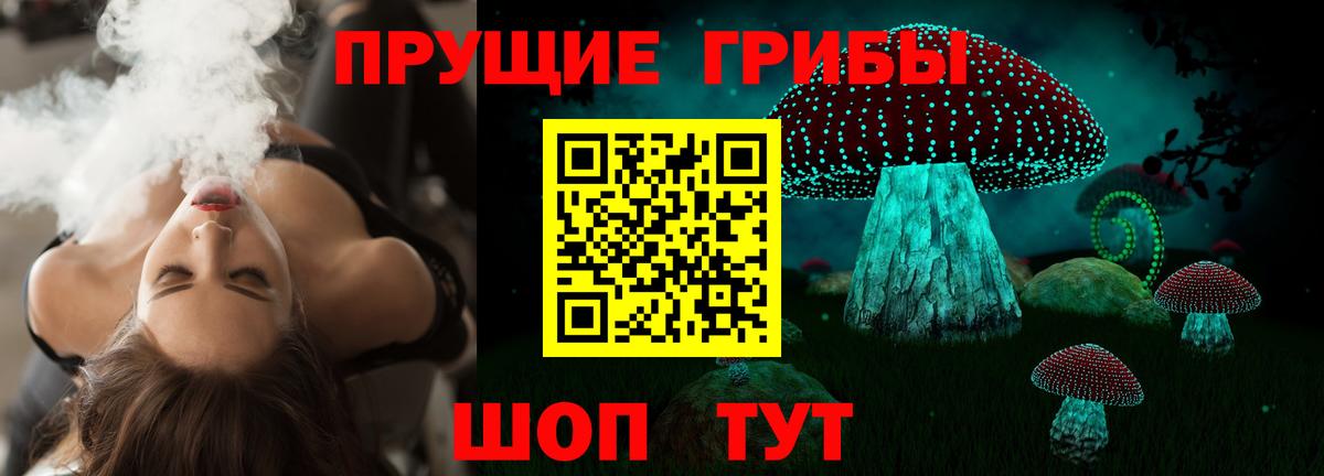 Галлюциногенные грибы Psilocybine cubensis Братск
