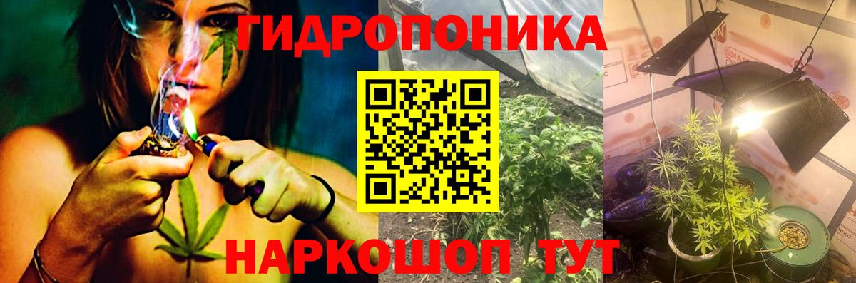 Марихуана OG Kush Братск